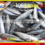 IQF LAYANG SCAD WHOLE ROUND thumbnail-2