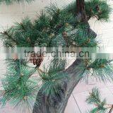Potted Plant From Chinese Manufactured in Factory Artificial Pine Tree for Sale thumbnail-6
