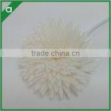 Dried Sola Flower From China Supplier thumbnail-5