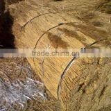 Reed Natural Bundles for Thatching thumbnail-1