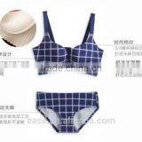 2017 Hot Sale Comfortable Lace Erotic Lingerie Sexy Bustier Bra Set thumbnail-2