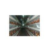 H-Frame Battery Chicken Cage thumbnail-1