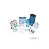 Sell Gauze Sponge, Adhesive Plaster, Cotton Roll, Wound Plaster thumbnail-1