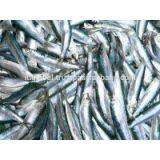 Dried Herring High Quatity From Viet Nam thumbnail-1