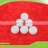 Durable Plastic Hollow Ball Indoor White Golf Ball Hollow Golf Training Balls