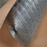 Hot Dipped Galvanized Welded Wire Mesh From Anping thumbnail-5