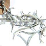 Chinese Premium White Tea Organic Silver Needle White Tea