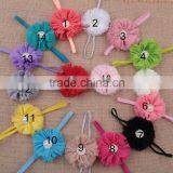 Flower Chiffon Cute Fashion Baby Hairbands Girls Headband Infant Hairband Baby Hair Accessories MY-AD00019 thumbnail-1