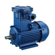 Explosion-proof Motor thumbnail-3