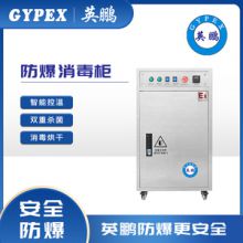 Ozone sterilization · Factory direct sales · Professional disinfection equipment manufacturer·Yingpeng Small Vertical Intelligent Temperature Control Disinfection Cabinet