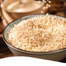 Sorghum Rice thumbnail-1