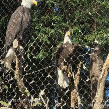 Hot Sale Zoo Wire Rope Mesh 316 316L Stainless Steel Flexible Wire Mesh Netting for Bird Aviary thumbnail-3