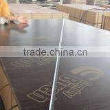 Ukraine Market Film Faced Plywood thumbnail-5