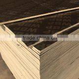 Finger Joint Film Faced Plywood thumbnail-4