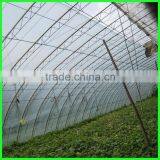 Suntex Virgin PE Protective Anti-aging Impervious Greenhouse Film,tunnel Greenhouse Roof Covers Seeding Nursery Warm House Film thumbnail-4