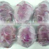 BEST PRICE FRESH DRAGON FRUIT thumbnail-1