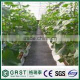 PP Ground Cover for Sale With CE Certification thumbnail-5