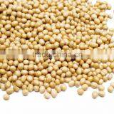 Soybeans thumbnail-1
