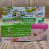 Aichun beauty 50g armpit vagina whitening cream Whitening cream & between legs whitening cream