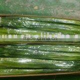 Artificial Reed Leaf Bush #GN. YL001