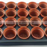 seedlings trays wholesale 24cells