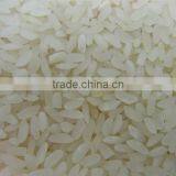 High Quality Medium-Grain White Color Dried Rice thumbnail-1