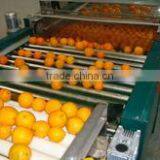 HIGH QUALITY EGYPTIAN