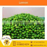 Wholesale Selling of Standard Grade Lime Available in Various Size