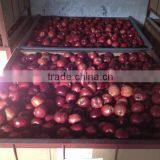 High Quality Red Mature Huaniu Apple Exporter in China thumbnail-5