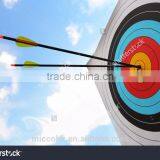 10 RING ARCHERY TARGET thumbnail-3