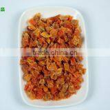 Dehydrated Sweet Potato Orange Color Air Dried Style Sweet Potato thumbnail-2