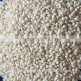 Capro Grade N21% Ammonium Sulphate Granulated thumbnail-1