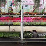 Garden Flower Display Shelf / Metal Storage Shelf thumbnail-1