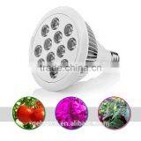 2017 Salable 12W Led Light For Indoor Plant From Shenzhen Factory thumbnail-1