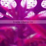 High Input 600W Light Grow Led Double Lens Grow Lamps thumbnail-6