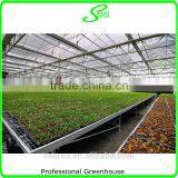 Multi- Span Potato Film Greenhouse for Sale thumbnail-2