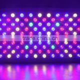 5W High Power Led CE ROHS Approved Cheap 600w Led Grow Lights for Hot- Selling in 2016 DIY Led Grow Light thumbnail-4