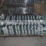 Tomato Spiral thumbnail-1