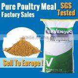 Meat And Bone Meal / MBM 60% 65% High Protein