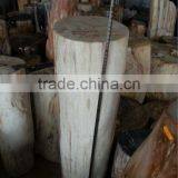 Petrified Wood,fossilized Wood,Luxary Nature Decorative Stone, thumbnail-3