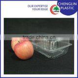 Blister Clear Disposable Fruit and Vegetable Tray thumbnail-1