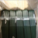 Plastificated Bamboo Canes Poles Sticks