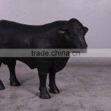 Definitive Angus Looking Right thumbnail-1