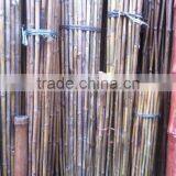 Bamboo Stick thumbnail-1
