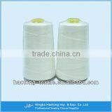 Zhejiang 100% Polyester Bag Closing Thread, Ring Twist Or TFO