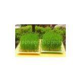 Wheat Grass Extract(rossonl@huacheng-biotech.com)