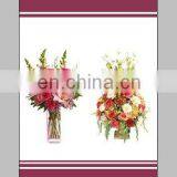 C-001 Digital Printed Curtain