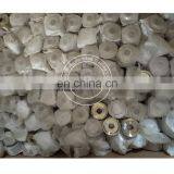 Rich Stock QSL Diesel Engine Alternator Belt Pulley 3965147 thumbnail-3