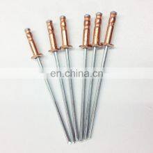 Aluminum Stainless Steel Large Head Blind Pop Rivets Colored thumbnail-3