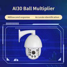 AI зумная крупная сферическая камера thumbnail-2